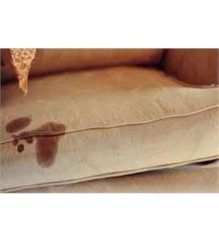 شستشو مبلمان